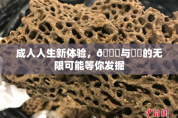 成人人生新体验，🔞与❌‌的无限可能等你发掘