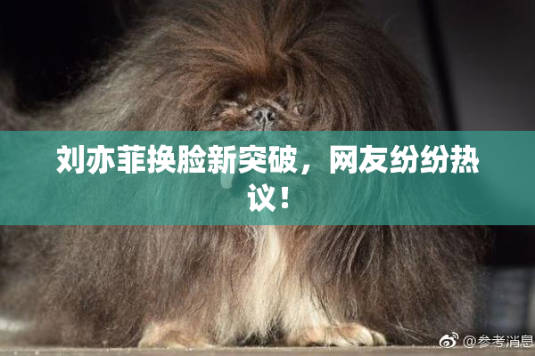 刘亦菲换脸新突破，网友纷纷热议！