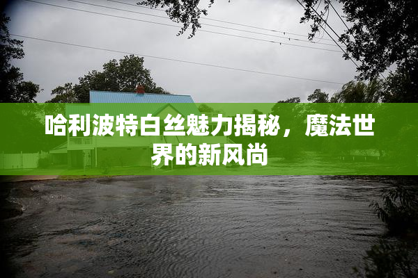 哈利波特白丝魅力揭秘，魔法世界的新风尚