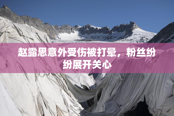 赵露思意外受伤被打晕，粉丝纷纷展开关心