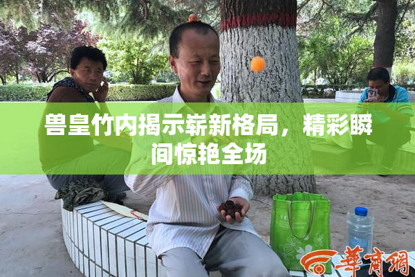 兽皇竹内揭示崭新格局，精彩瞬间惊艳全场