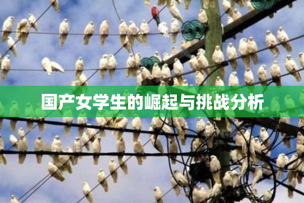 国产女学生的崛起与挑战分析