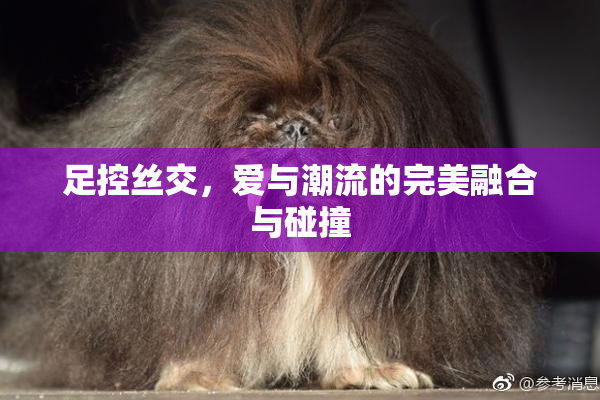 足控丝交，爱与潮流的完美融合与碰撞