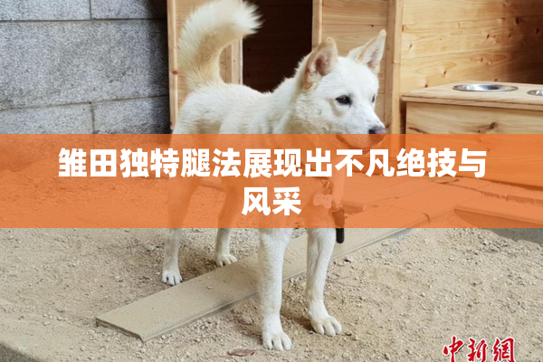 雏田独特腿法展现出不凡绝技与风采