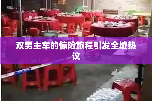 双男主车的惊险旅程引发全城热议