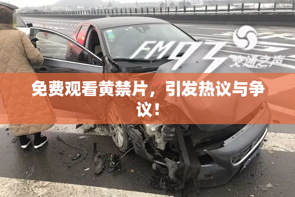 免费观看黄禁片，引发热议与争议！