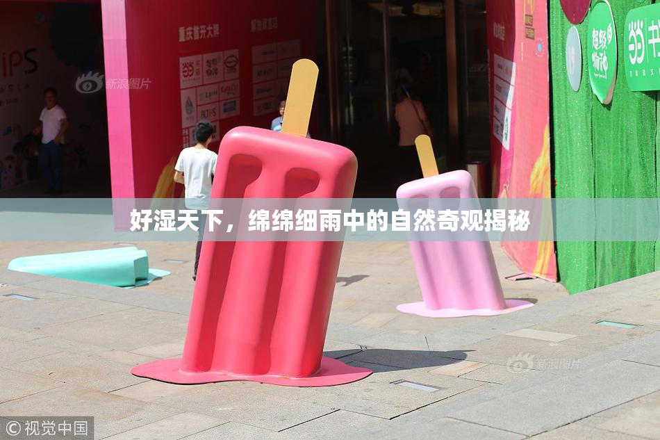 好湿天下，绵绵细雨中的自然奇观揭秘