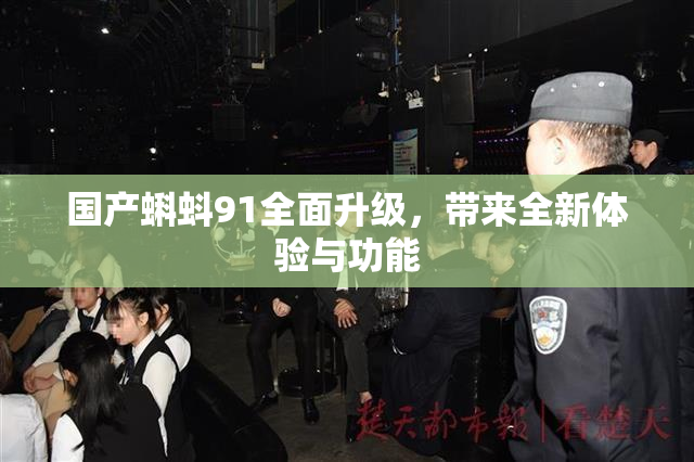 国产蝌蚪91全面升级，带来全新体验与功能