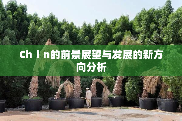 Chⅰn的前景展望与发展的新方向分析