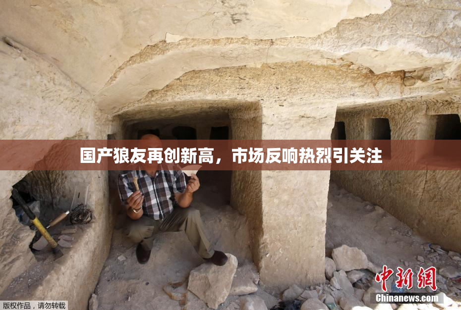国产狼友再创新高，市场反响热烈引关注