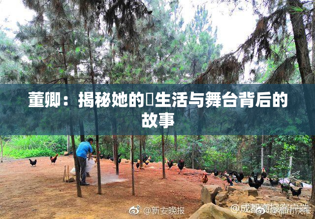 董卿：揭秘她的婬生活与舞台背后的故事