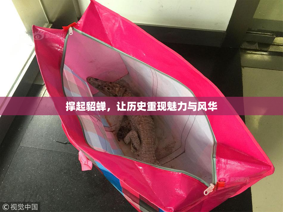 撑起貂蝉，让历史重现魅力与风华