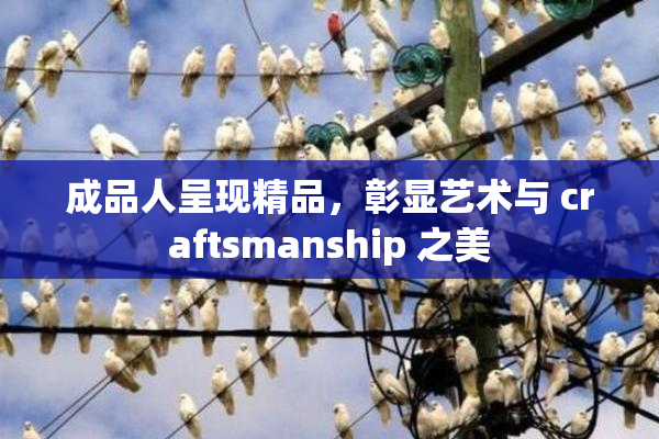 成品人呈现精品，彰显艺术与 craftsmanship 之美
