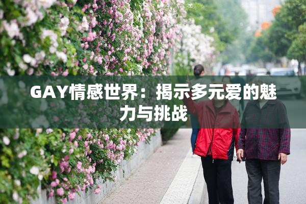 GAY情感世界：揭示多元爱的魅力与挑战