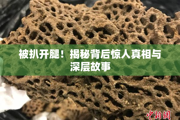 被扒开腿！揭秘背后惊人真相与深层故事