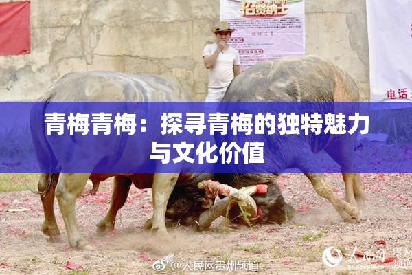 青梅青梅：探寻青梅的独特魅力与文化价值