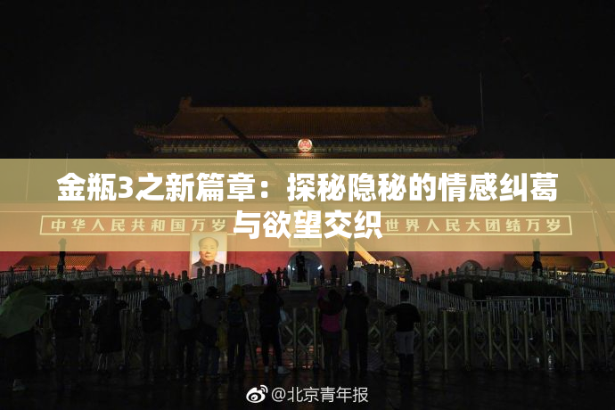 金瓶3之新篇章：探秘隐秘的情感纠葛与欲望交织