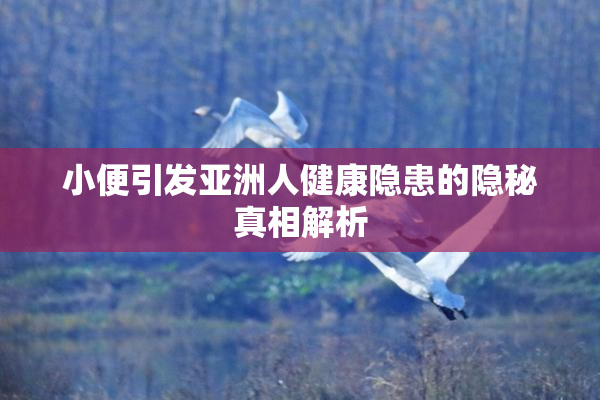 小便引发亚洲人健康隐患的隐秘真相解析