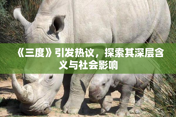 《三度》引发热议，探索其深层含义与社会影响