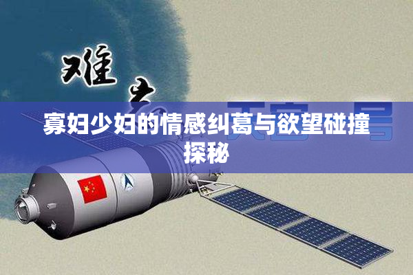 寡妇少妇的情感纠葛与欲望碰撞探秘