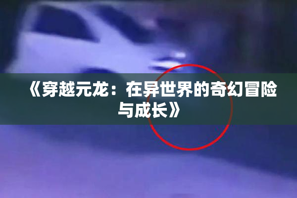 《穿越元龙：在异世界的奇幻冒险与成长》
