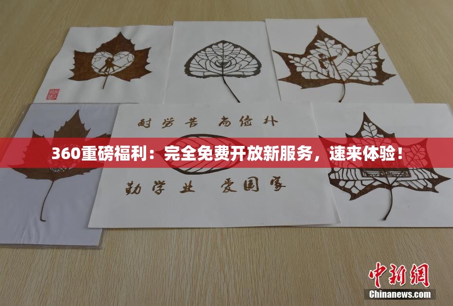 360重磅福利：完全免费开放新服务，速来体验！