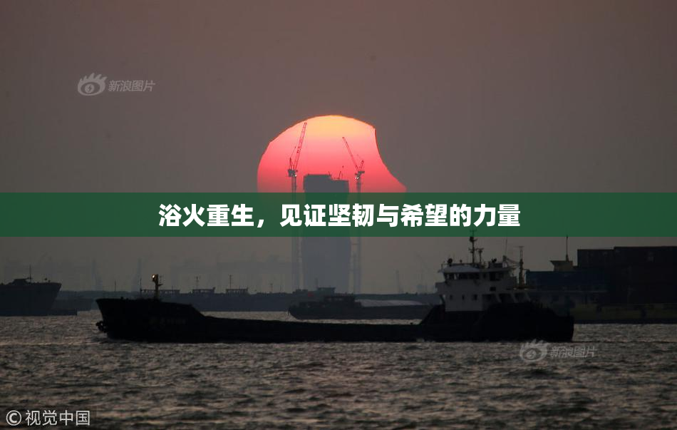浴火重生，见证坚韧与希望的力量