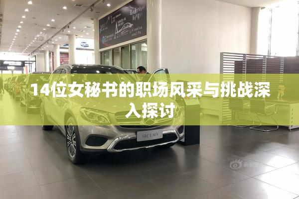14位女秘书的职场风采与挑战深入探讨