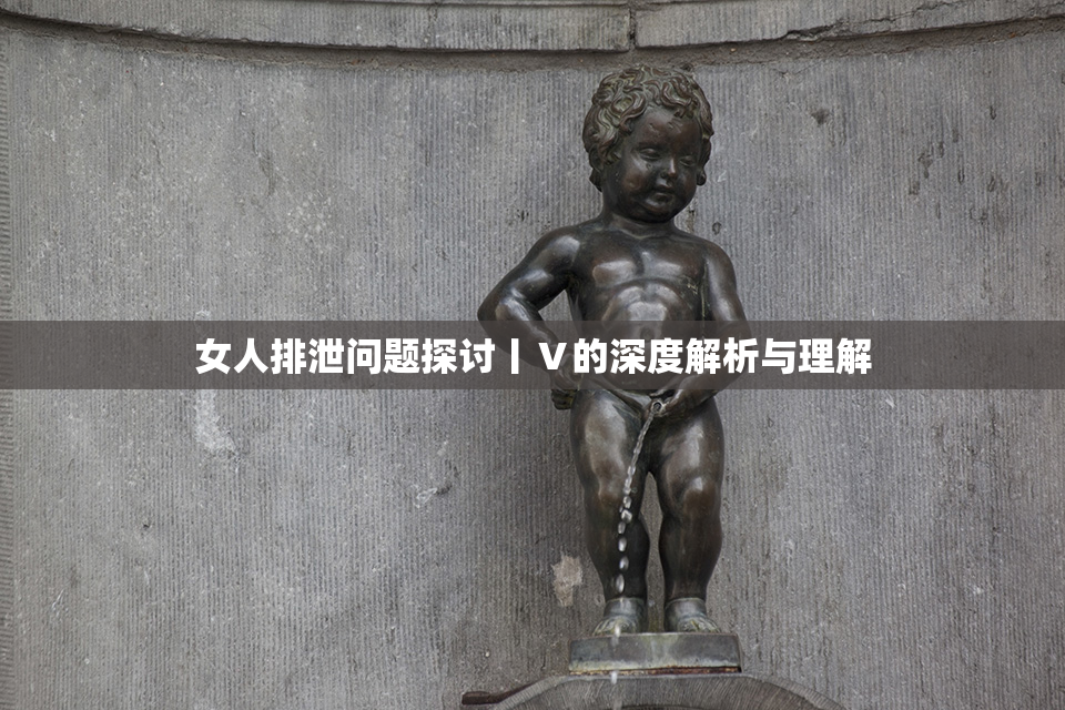 女人排泄问题探讨丨Ⅴ的深度解析与理解
