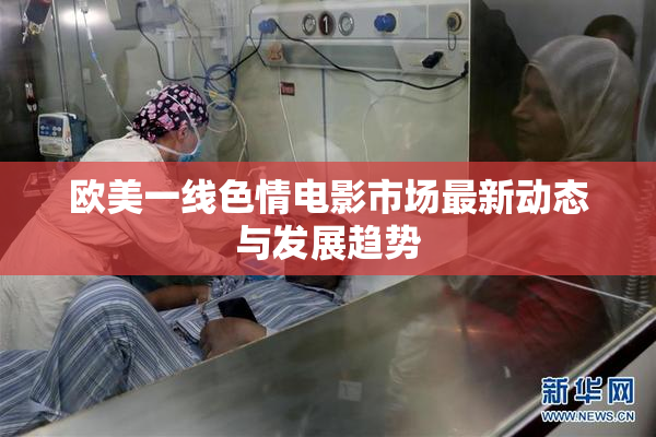 欧美一线色情电影市场最新动态与发展趋势
