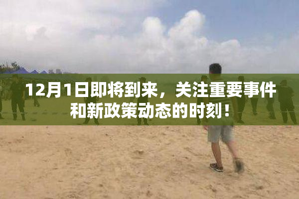 12月1日即将到来，关注重要事件和新政策动态的时刻！