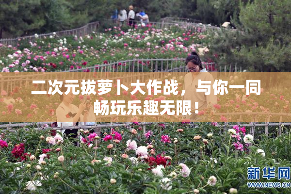 二次元拔萝卜大作战，与你一同畅玩乐趣无限！