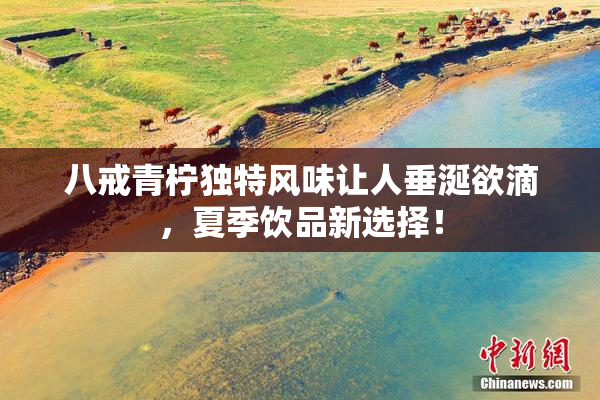 八戒青柠独特风味让人垂涎欲滴，夏季饮品新选择！