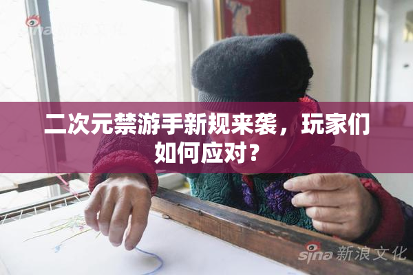 二次元禁游手新规来袭，玩家们如何应对？