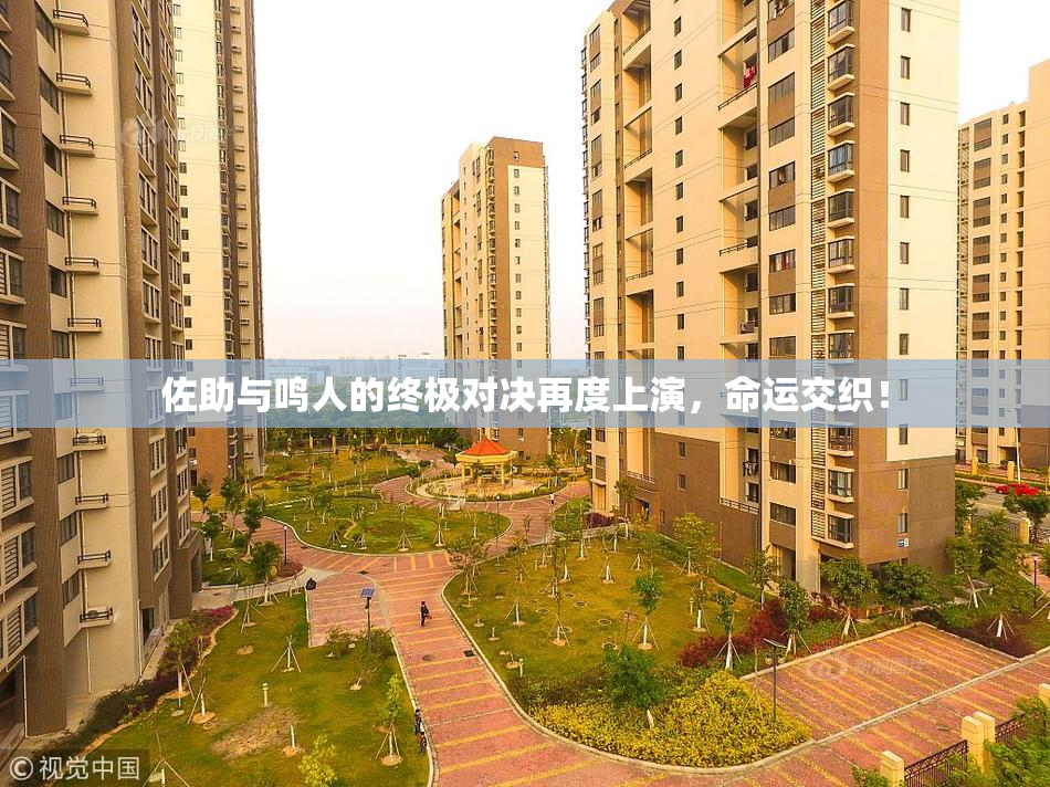 佐助与鸣人的终极对决再度上演，命运交织！