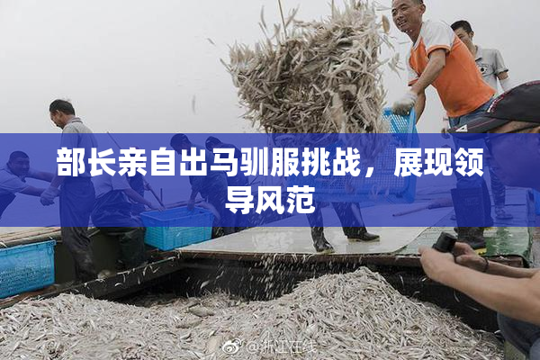 部长亲自出马驯服挑战，展现领导风范