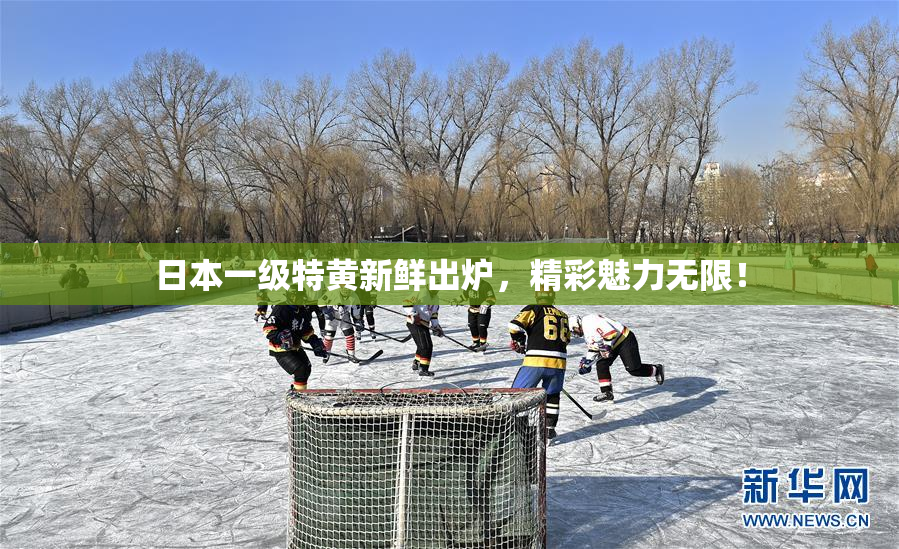 日本一级特黄新鲜出炉，精彩魅力无限！