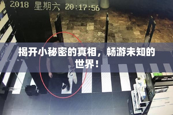 揭开小秘密的真相，畅游未知的世界！