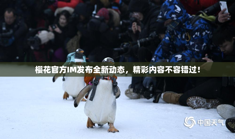 樱花官方IM发布全新动态，精彩内容不容错过！