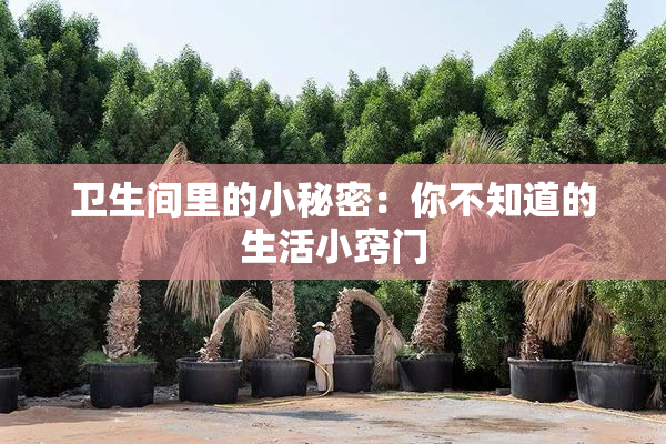 卫生间里的小秘密：你不知道的生活小窍门