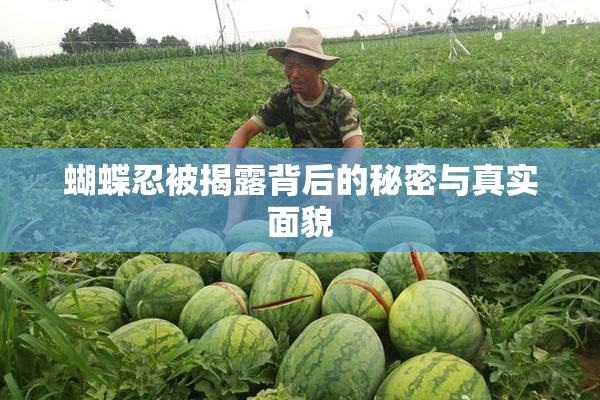 蝴蝶忍被揭露背后的秘密与真实面貌