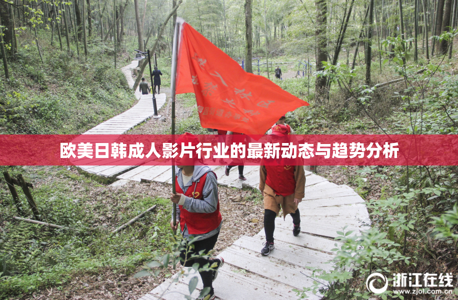 欧美日韩成人影片行业的最新动态与趋势分析