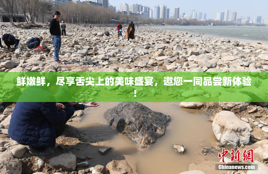 鲜嫩鲜，尽享舌尖上的美味盛宴，邀您一同品尝新体验！