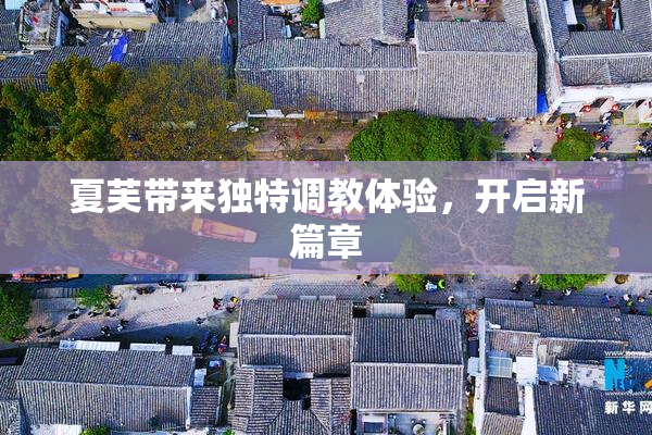 夏芙带来独特调教体验，开启新篇章