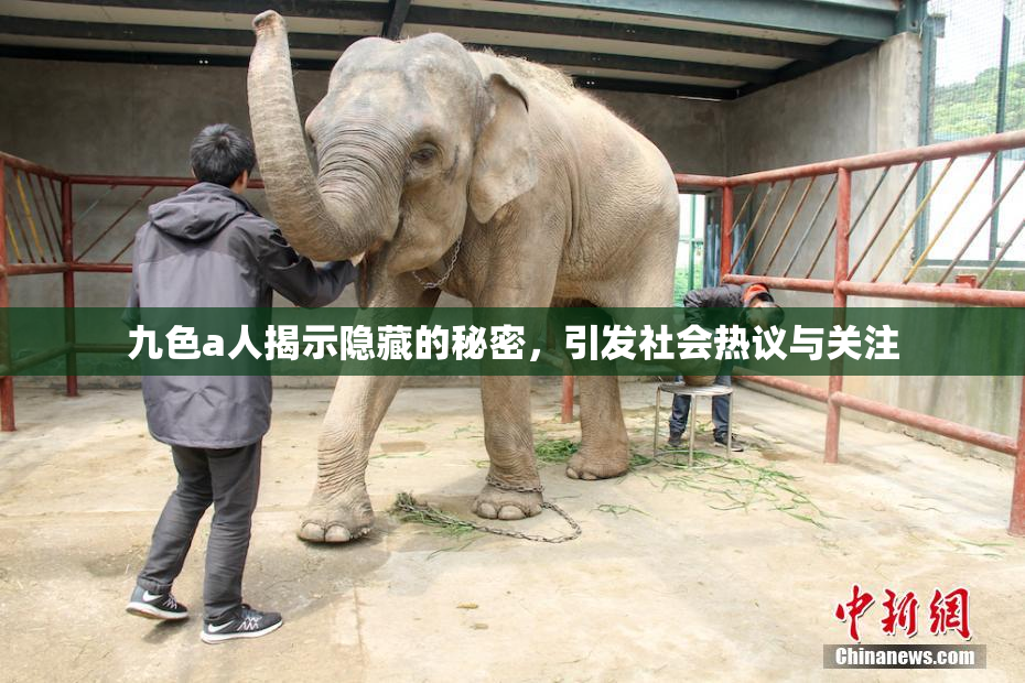 九色a人揭示隐藏的秘密，引发社会热议与关注