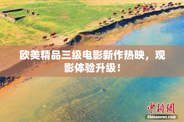 欧美精品三级电影新作热映，观影体验升级！