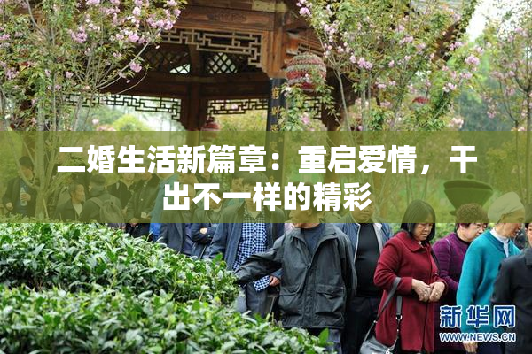 二婚生活新篇章：重启爱情，干出不一样的精彩