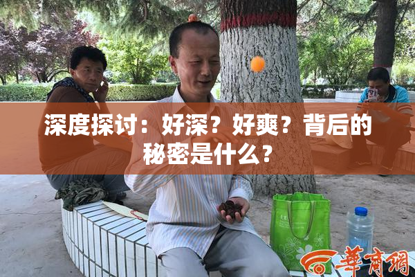 深度探讨：好深？好爽？背后的秘密是什么？