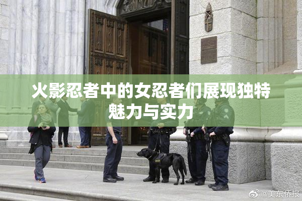 火影忍者中的女忍者们展现独特魅力与实力