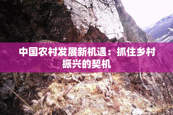 中国农村发展新机遇：抓住乡村振兴的契机